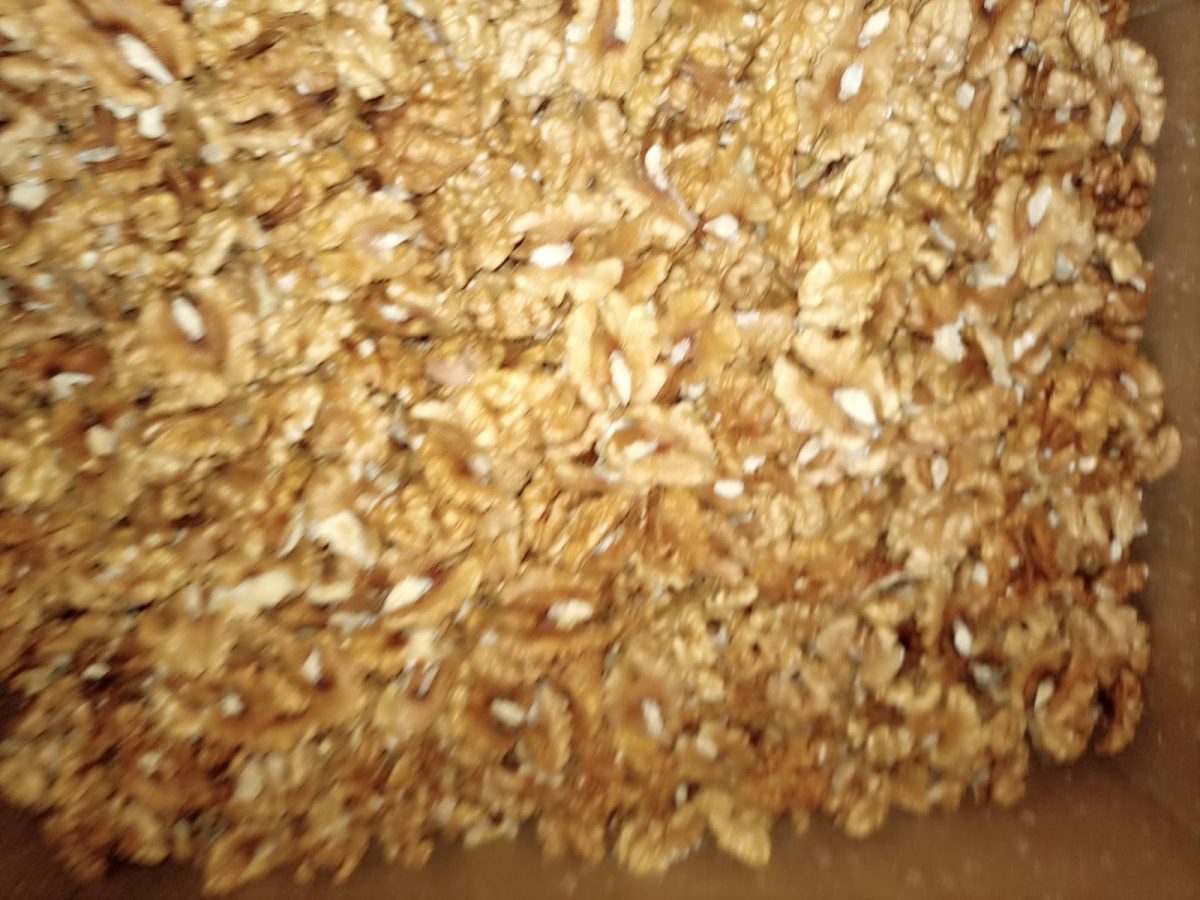 قلب جوز سوري دون قشر - كميات جملة