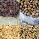 جوز سوري بالجملة - مكسرات عالية الجودة لتجار الجملة والموردين شراء الجوز السوري بالجملة من مورد موثوق